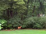 1986 Camphill Circle - Photo 41