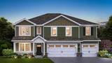 298 Snowdrop Lane - Photo 1