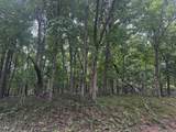 1806 Tanglewood Drive - Photo 3