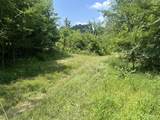 TBD Bushwack Road - Photo 1