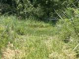 TBD Bushwack Road - Photo 3