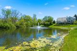 14337 Provencal Drive - Photo 41