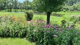 6211 Brighton Lane - Photo 40