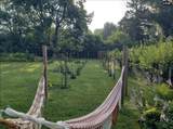 20821 Dogwood Street - Photo 18