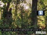 Lot 4 Falcon Road - Photo 6