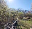 1300 Tolle Lane - Photo 7
