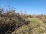 1300 Tolle Lane - Photo 8