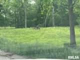 3501 (Lot 11) Ridge Crest Drive - Photo 11