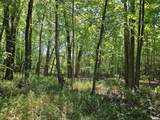 000 51 Road - Photo 7