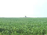 0 Gravel Lane - Photo 6