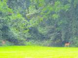1253 County Road 800 E - Photo 32