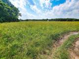 199 Hanging Rock Road - Photo 5