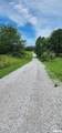 85 Maggie Lane - Photo 12