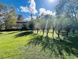 295 Country Acres Road - Photo 7
