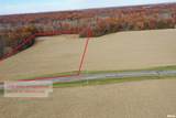 000A Alma Hatchery Road - Photo 3