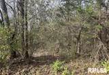 Lot 177 Sycamore Street - Photo 2