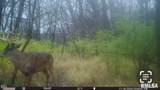 302 Silver Creek Road - Photo 10