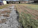 TBD Tulip Lane - Photo 4