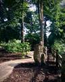 3 Moore Road - Photo 9