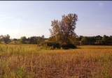 Lot 8 80th Avenue - Photo 4