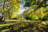 710 Short Street - Photo 45
