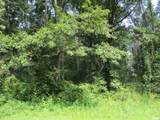 0000 White Birch Court - Photo 3