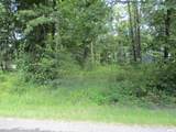 0000 White Birch Court - Photo 5