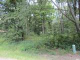 0000 White Birch Court - Photo 6