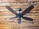 521 Locust Street - Photo 49