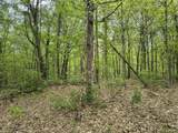 1875 Pleasant Woods Circle - Photo 4
