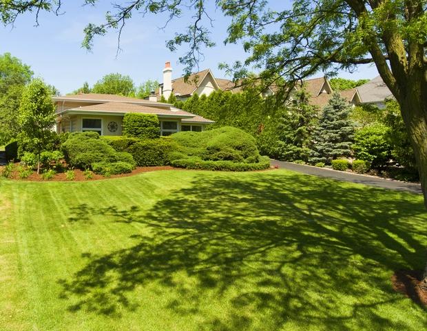 5562 Oak Street - Photo 1