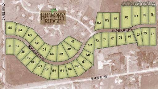 Lot 69 Shagbark Lane - Photo 1