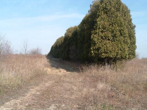 5964 Governors Highway - Photo 1