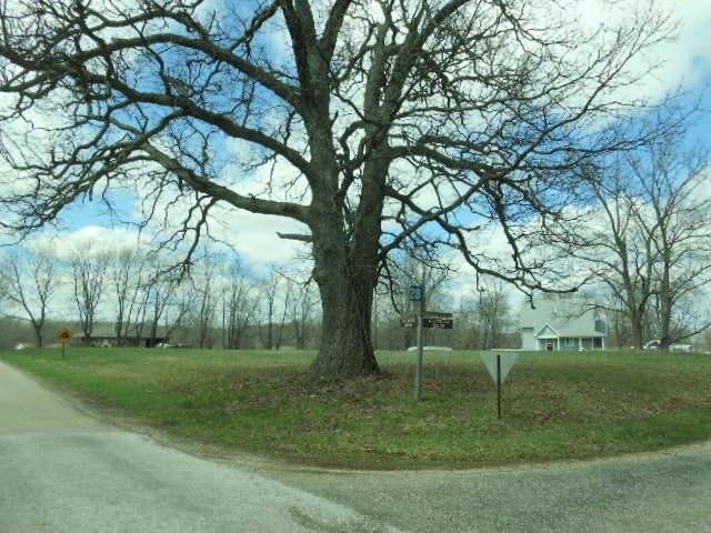 LOT 1488 Lake Wildwood Drive - Photo 1