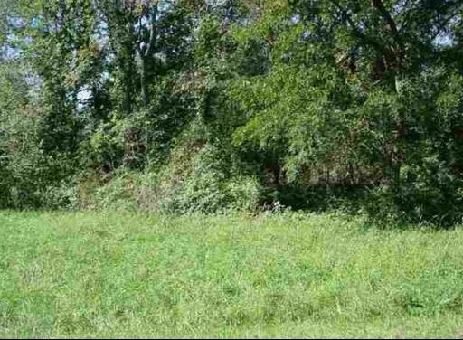 1481 Westover Street - Photo 1