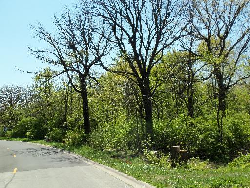 LOT #2 Thomas Drive - Photo 1