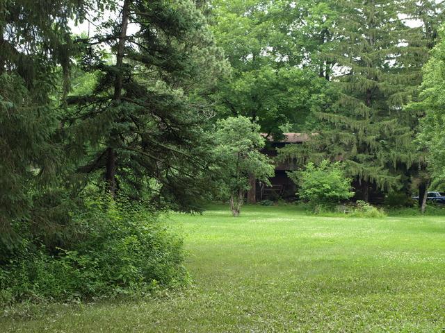 23477 Elm Road - Photo 1