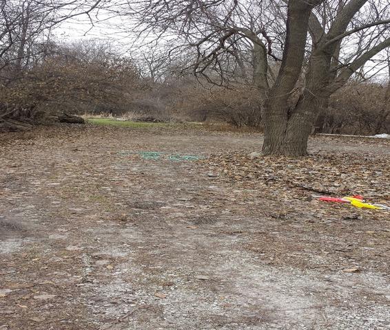 8202 Lemont Road - Photo 1