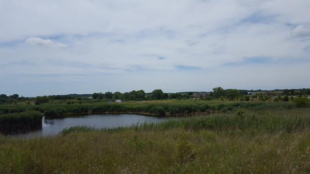 Lot 13 Kankakee Road - Photo 1