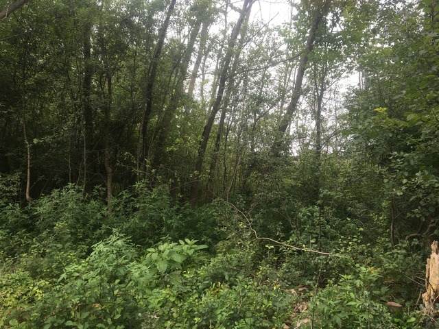 11459 Broadway Avenue - Photo 1