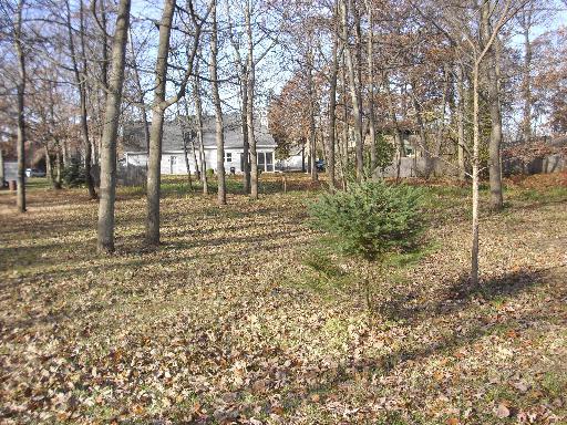 Lot 1 Park Drive - Photo 1