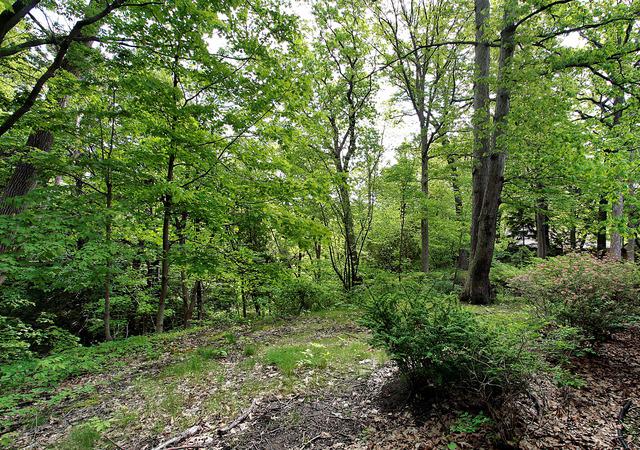 651 Hibbard Road - Photo 1