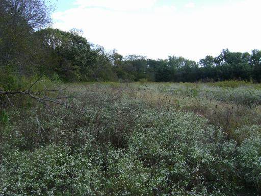 0 2753 Road - Photo 1