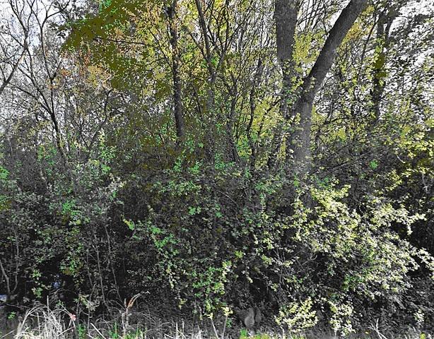 22763 Lake Park Avenue - Photo 1