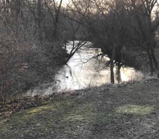 Lot 4 Fremont Avenue - Photo 1