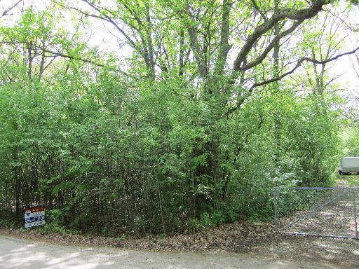 27W051 Lowden Avenue - Photo 1