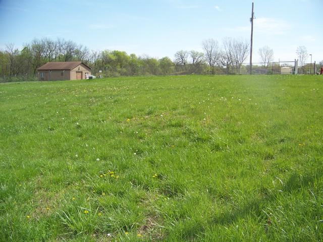 950 Arrowhead Drive - Photo 1