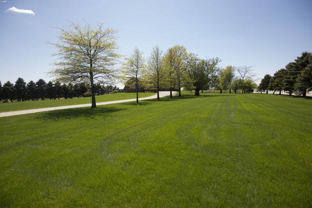 24644 S. Us Rt 52 Highway - Photo 1