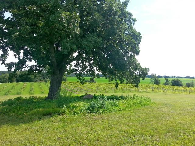0 Vanderkarr Road - Photo 1