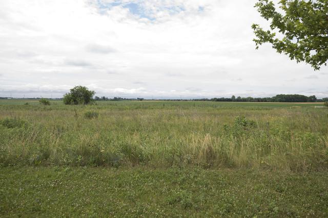 12605 Old Farm Road - Photo 1